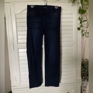 Liverpool Pull On Straight Jeans 27 4 Petite